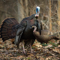 Dave Smith Decoys Leading Turkey Hen